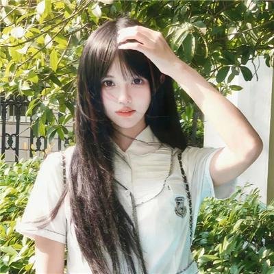 查维特